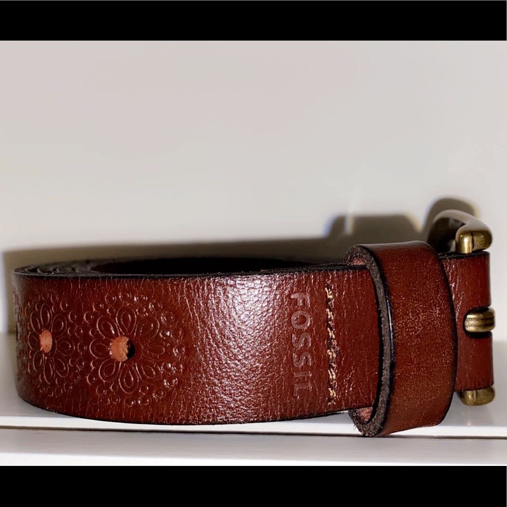 Fossil Belt